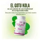 HSN Extracto de Gotu Kola 65:1 150mg 30vcaps