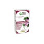 Fito Premium - Harpagofito - Pinisan - 30 Cápsulas