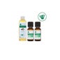 Voshuiles Kit Stop Transpiración Aceite Esencial BIO 2x10 ml + Vegetal BIO 50 ml