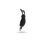 Intense Fun Rabbit Roger Negro 1 ud