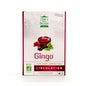 Pagode Thee Gingo Biologische Groene Thee Circulatie 60uts