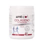 Colageno Con Magnesio + Vit C + Vit B1, B2 Y B6 Sabor Fresa 350