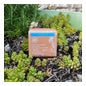 Dermasens Jabon Leche Cabra Bio 100g
