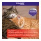 Feliway Friends Interior Recarga 48 ml