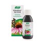 Echinaforce Hotdrink 100ml