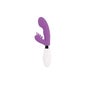 Glossy Rabbit Elvis Lila 1 ud