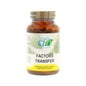 Cfn Factors Transfer 90 caps.