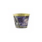 Shunga Bougie Massage 170 ml Fuits Exoti