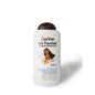 Corine de Farme Vaiana Shampoo 2 em 1 Nutritivo 300ml