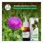 Soria Natural Bardana Extracto 50 ml