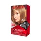 Revlon Colorsilk 61 Dark Blonde Hair Color Kit
