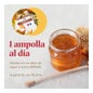 Arkopharma Arkoreal Jalea Real Ginseng Sin Azúcar 20ampollas