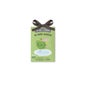 The Fruit Company Ambientador Armario Manzana 13 g