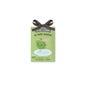The Fruit Company Ambientador Armario Manzana 13 g
