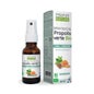 Propos'Nature Spray Bucal Própolis Verde Miel Menta Bio 20 ml