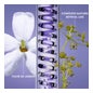 Melvita Nectar Sublime Crema Terciopelo Supremo 50ml