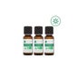 Voshuiles Kit Verano Aceites Esenciales BIO 3x10 ml