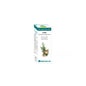 Equisalud Bio Essential Oil Ciprés 10 ml