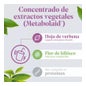 Figurmed Shake Frutos Rojos 350g