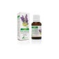Soria Óleo Essencial Natural Lavanda 15 ml