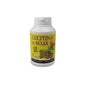 Plantapol Lecitina de Soja Gmo Free 120 caps