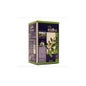 Nova Diet Té Verde Infusión 20 uds