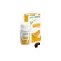 Naturactive Semillas Calabaza 60 caps