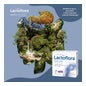 Lactoflora® Oral serum for fruits of the forest 6 sachets