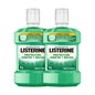 Listerine Mouthwash Teeth & Gums Mint Flavored Mouthwash 2X1000ml
