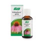 A. Vogel Echinaforce Gotas 50ml