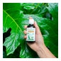 Puressentiel Aceite Vegetal de Vainilla 50 ml