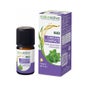 Olio Essenziale Biologico Natura Organico Origan Compatto 5ml