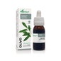 Olive Extract Xxi 50 Ml Soria Natural