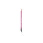 Rougj Etoile Perfilador De Labios Fuscia 1 2 g