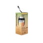 Pranarom Cofre Choose Your Vibe 3 Sinergias 3 x 5 ml
