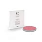 Couleur Caramel Recarga Colorete Nº69 Pêche Éclat 7g