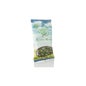 Vara De Oro (solidago) 45 Gr