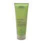 Aveda Be Curly Krullen Boosting Lotion 200ml