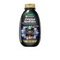Garnier Original Remedies Carbone Magnetico Shampoo 250ml