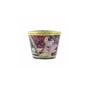 Shunga Bougie Massage 170 ml Fraise..