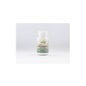 Sotya Antioxidante 500 mg 100 comp