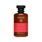 Apivita Color Sellador Champú 250 ml