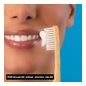 Apivita Crema Dental Total 75 ml