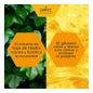 Zarbee's Familia Jarabe Tos y Garganta 150ml