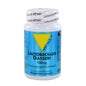 Vit All+ Lactobacillus Gas Gelul60