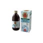 Decottopia Depurativo Antartico C/Stevia