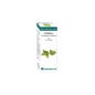 Equisalud Bio Essential Oil Citronela 10 ml