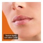 Apivita Lip Care Bio-Eco con Miel 1 ud