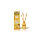 The Fruit Company Ambientador Mikado Mango 40 ml
