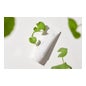 Mixsoon Centella Sun Cream SPF50+ PA++++ 50g